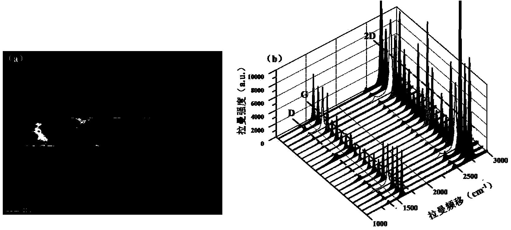 Laser preparation method for large-area patterned graphene