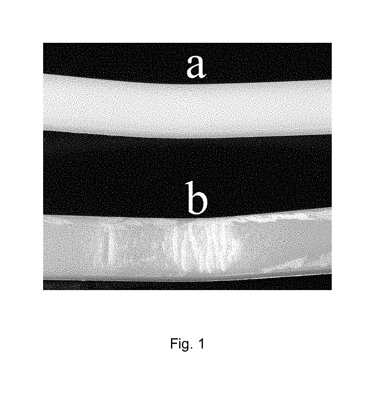 Biocarbon and nylon based hybrid carbonaceous biocomposites and methods of making those and using thereof