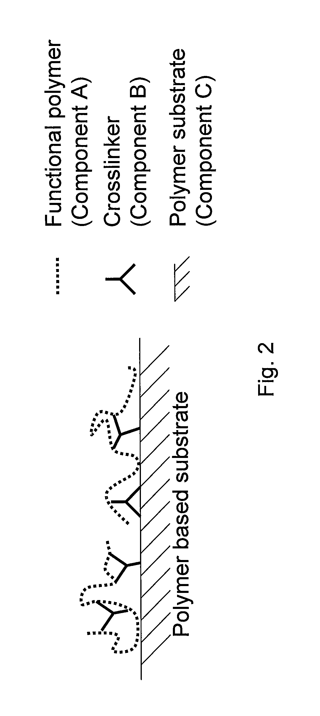 Surface modified polymeric materials, modified functionalized polymers, functional polymers, and methods