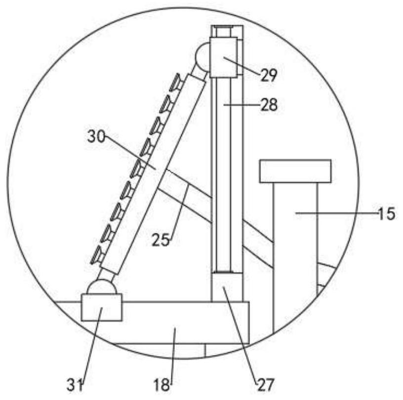 Automatic sprinkling irrigation device for blueberry planting