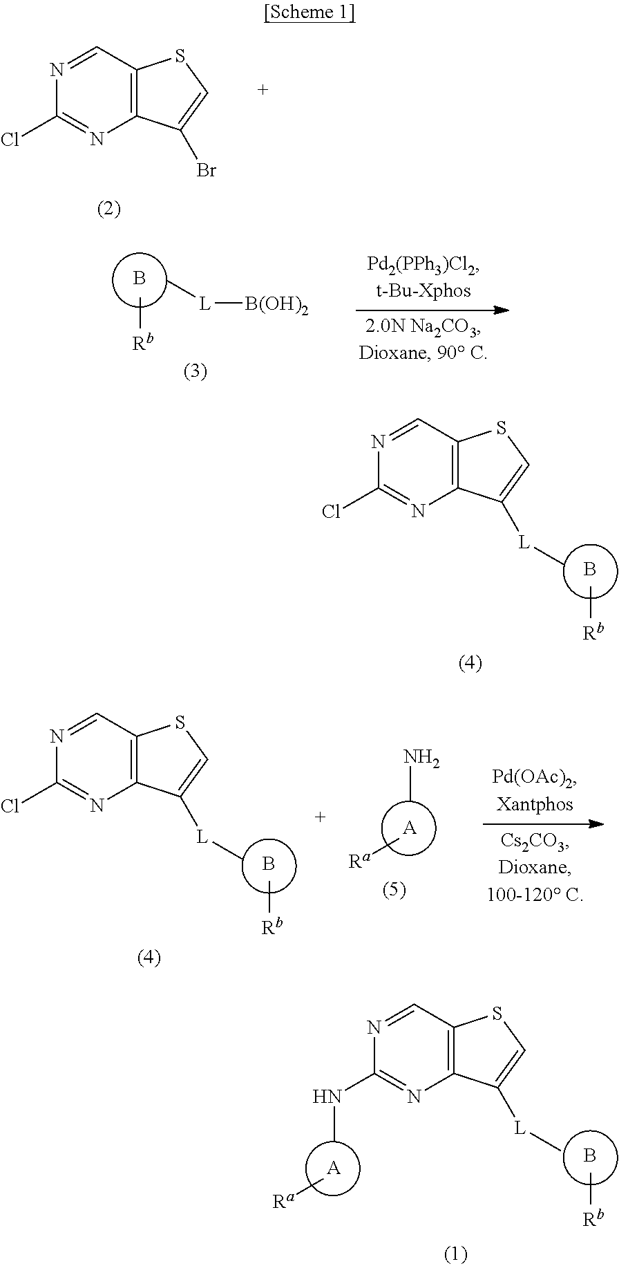 2,7-substituted thieno[3,2-d] pyrimidine compounds as protein kinase inhibitors