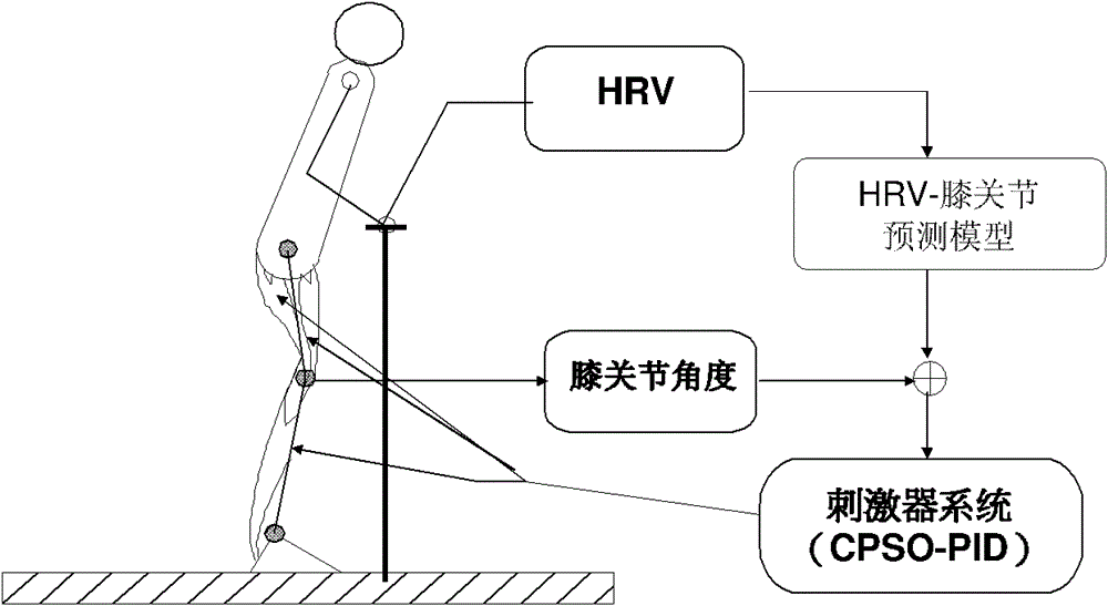 Setting method of functional electrical stimulation PID (Proportion Integration Differentiation) parameter double source characteristic fusion particle swarm