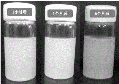 Method for modifying boron nitride nanosheet surface with polydopamine