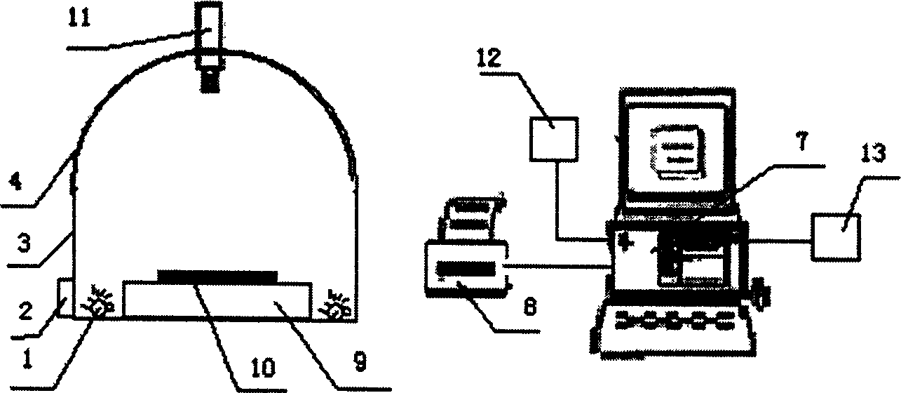 Method and device for computer vision detection and classification of beef carcase quality