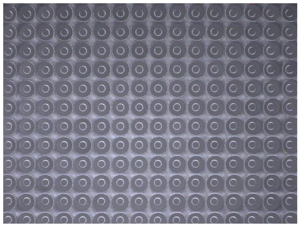 Method for preparing polymer micro lens array