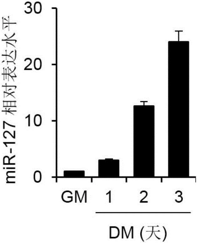 Application of miR-127 in preparation of medicines for treating muscle diseases