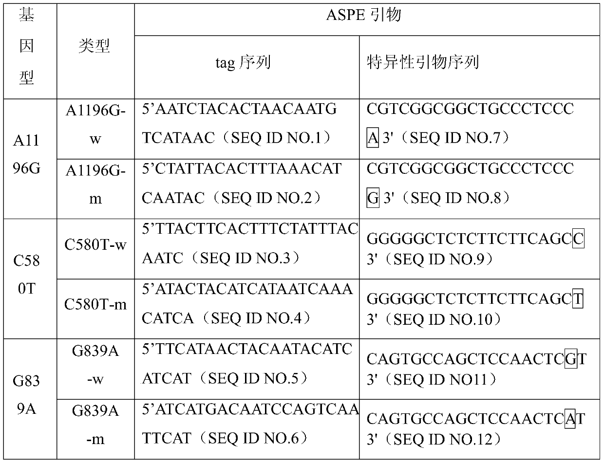 Specific primers and liquid chip kit for xrcc1 gene mutation detection