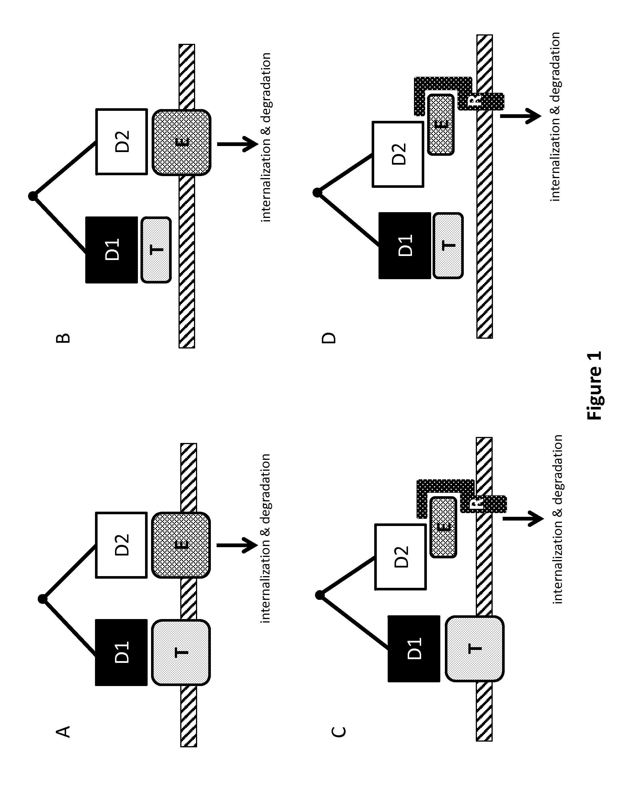 Multispecific antigen-binding molecules and uses thereof