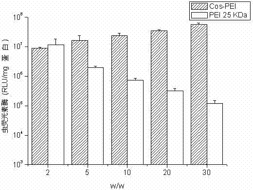 Polyethyleneimine (PEI) derivative taking amphipathic chitosan as cross linker and preparation method and application thereof