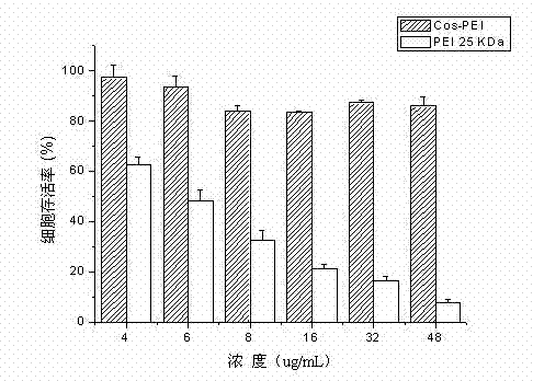 Polyethyleneimine (PEI) derivative taking amphipathic chitosan as cross linker and preparation method and application thereof