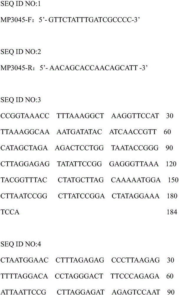 SSR primer group and method for identification of purity of flue-cured tobacco variety Yunyan 87 seeds