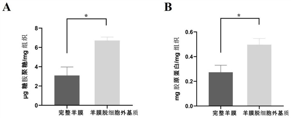 Preparation method of decellularized amnion intrauterine scaffold carrying estradiol microspheres