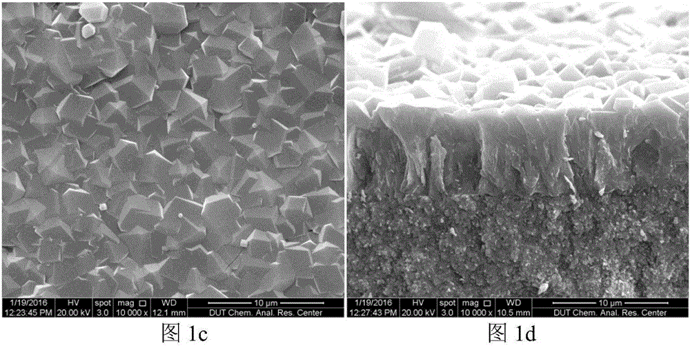 Method for inducing and preparing Co-ZIF-67 metal organic framework membrane by utilizing different-source zinc oxide layer