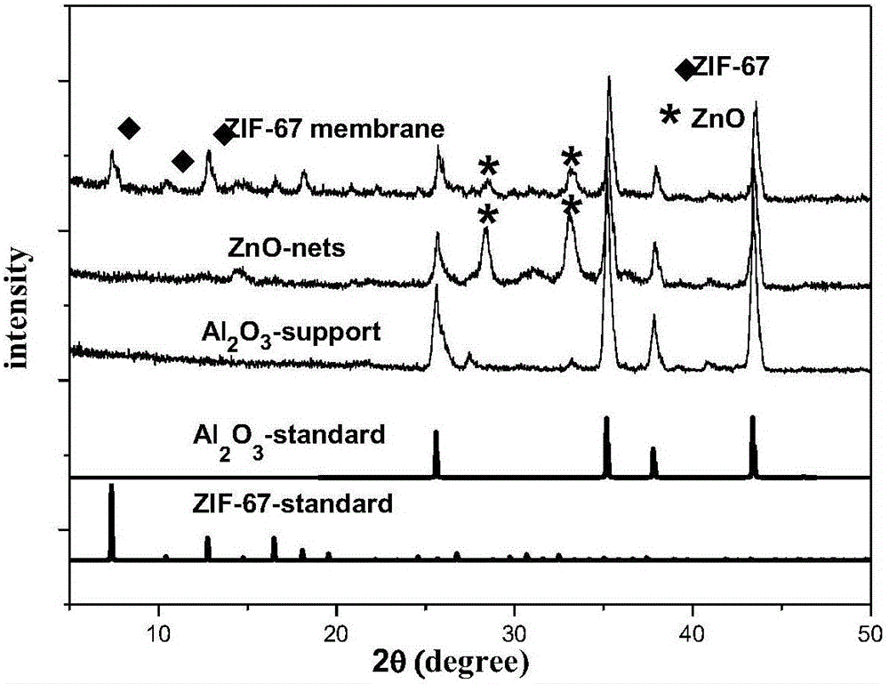 Method for inducing and preparing Co-ZIF-67 metal organic framework membrane by utilizing different-source zinc oxide layer
