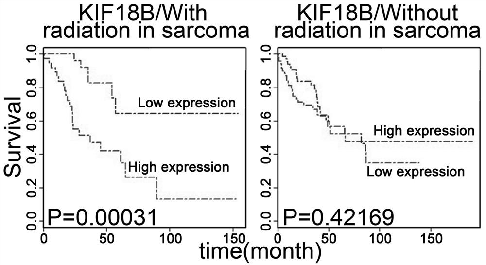 Sarcoma radiotherapy resistance-related diagnostic marker and application