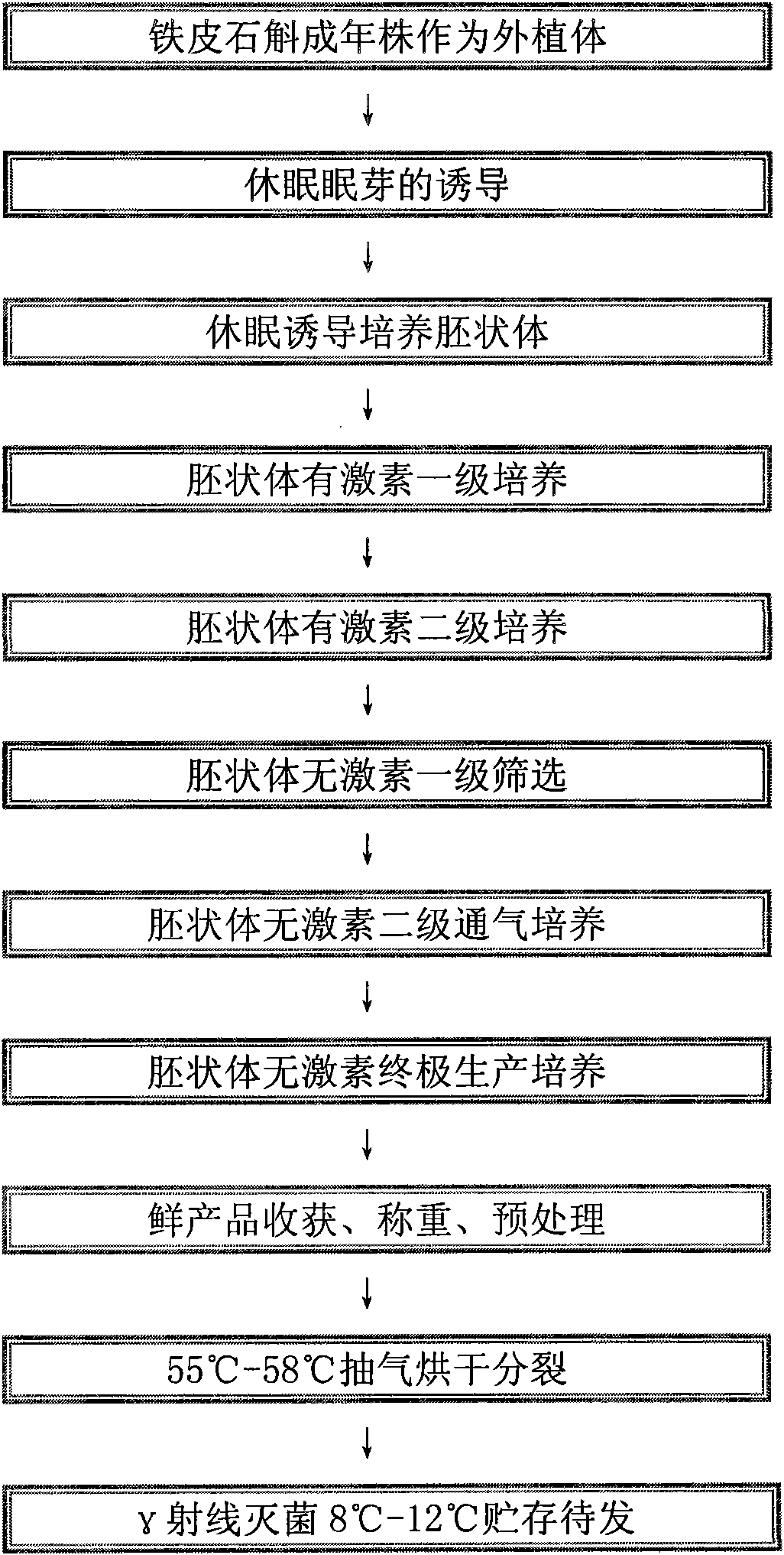 Method for hormone-free scale culture and production of dendrobium officinale embryo dry product