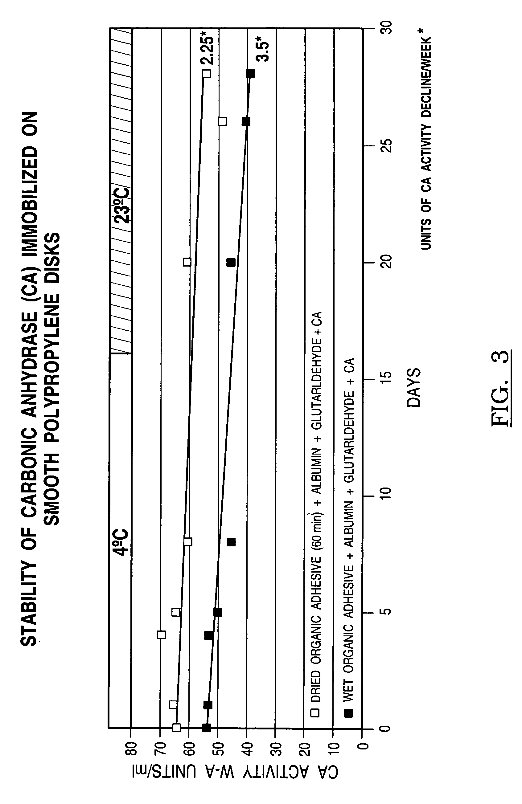 Process for immobilization of protein catalysts, product, and use