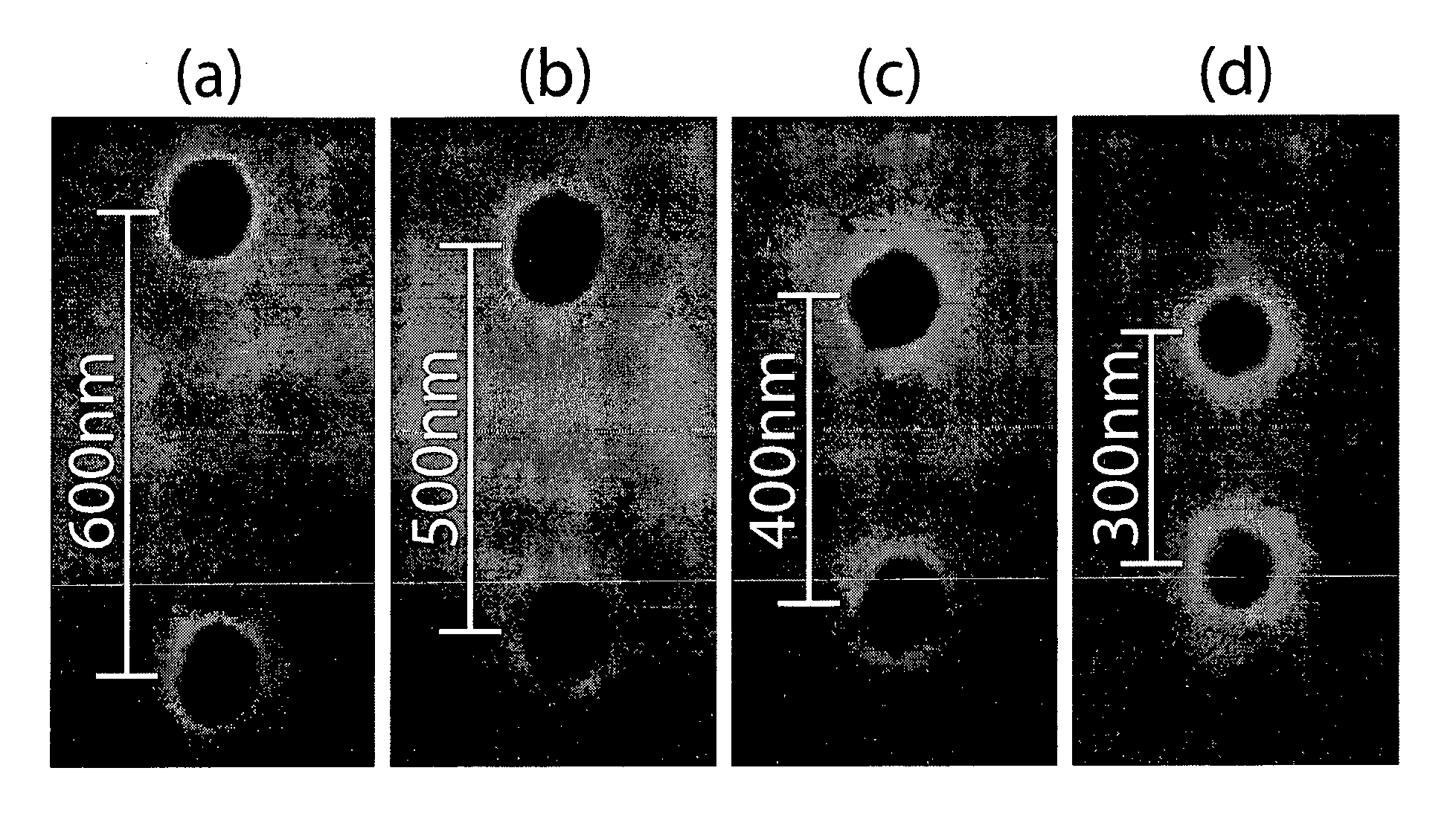 Complex index refraction tomography with sub lambda/6-resolution