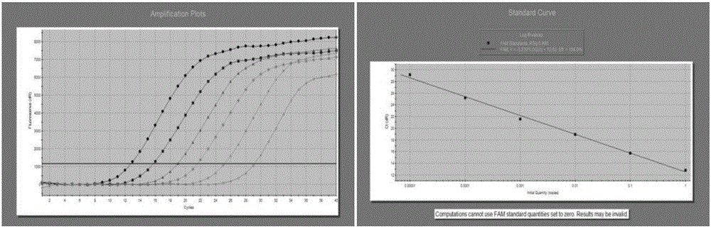 Dimer mutating fluorescent primer quantative PCR method for synchronous quantifying and genetic typing of four aspergilli