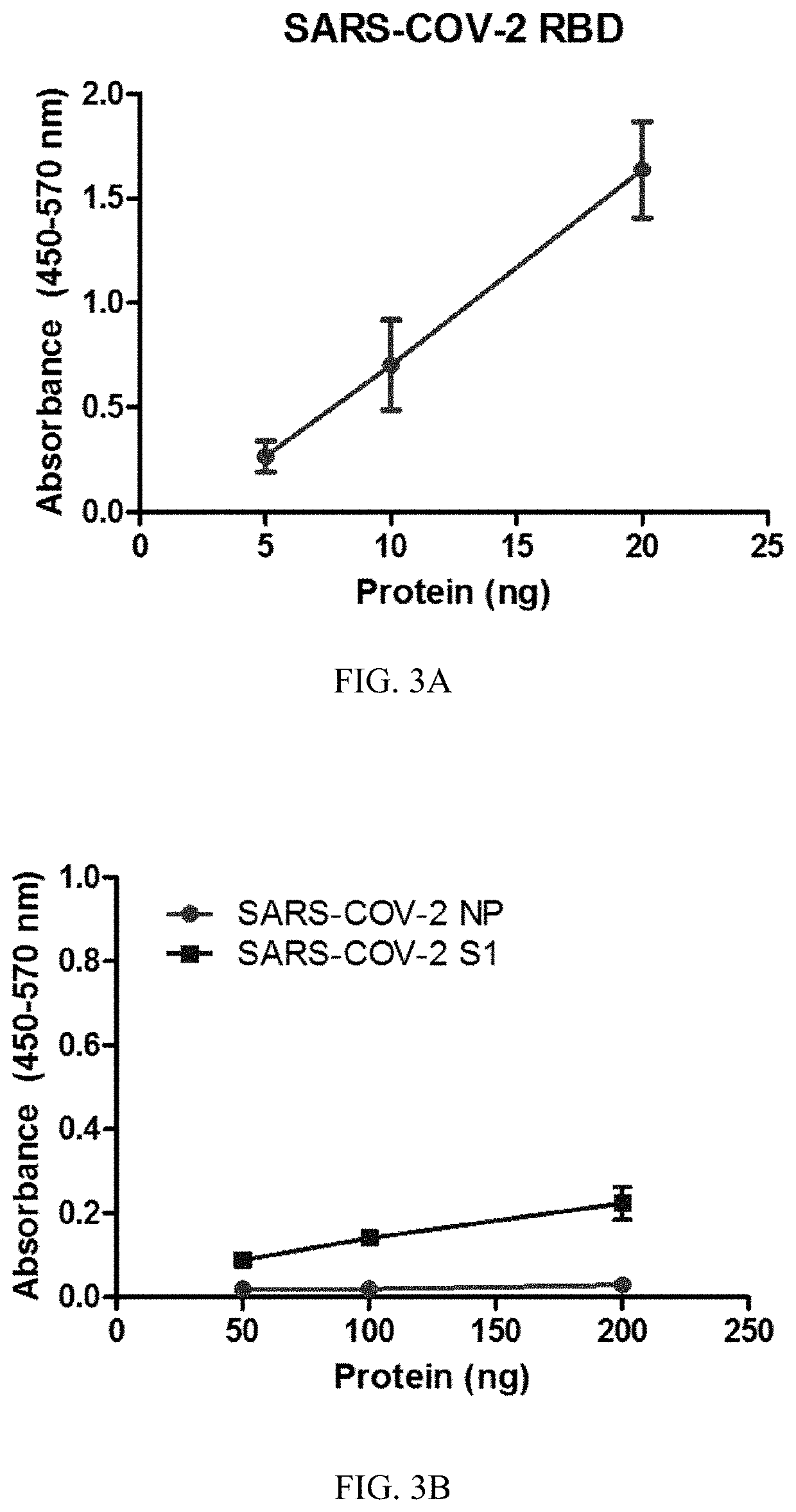 SARS-CoV-2 surrogate virus neutralization test based on antibody-mediated blockage of ACE2-spike protein binding