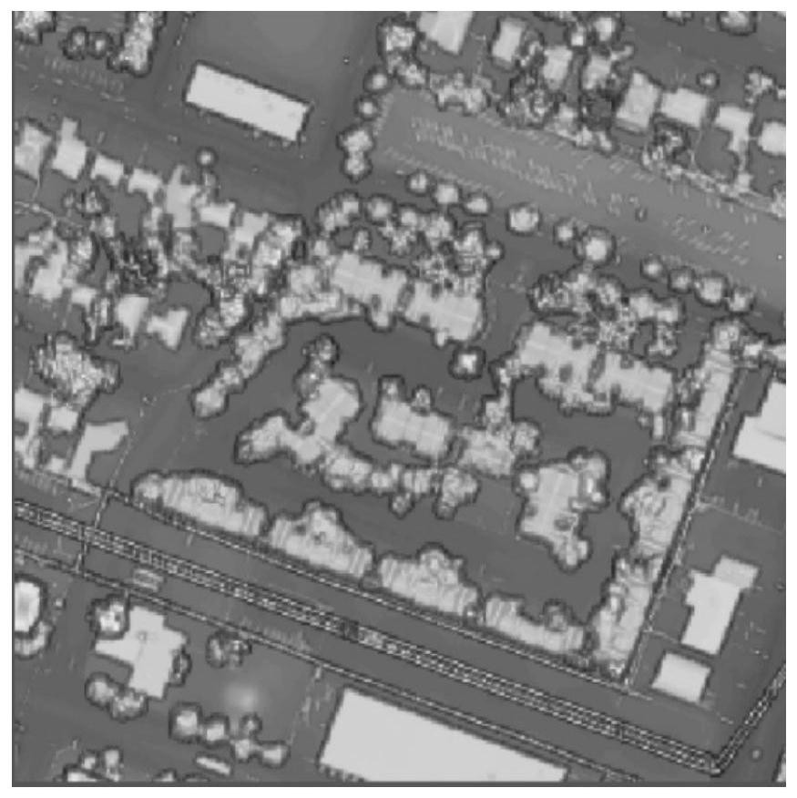 Intrinsic decomposition method of hyperspectral image based on digital surface model