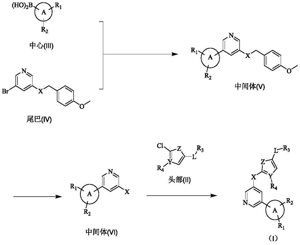 A class of biarylpyridine deubiquitinase inhibitors, its preparation method and application