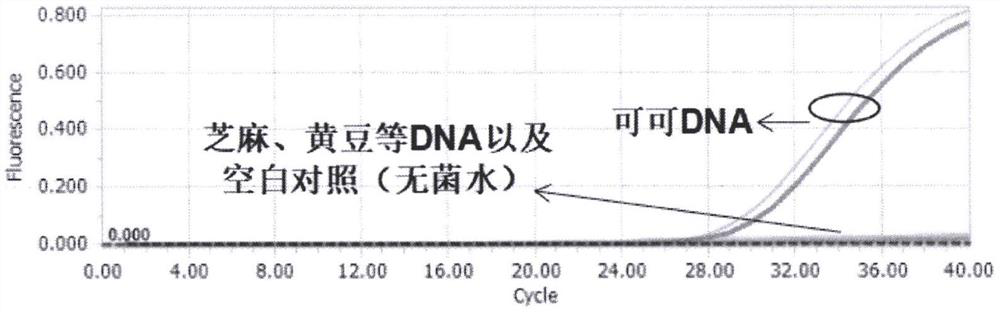 Primer probe and method for detecting cocoa-derived components in cocoa powder