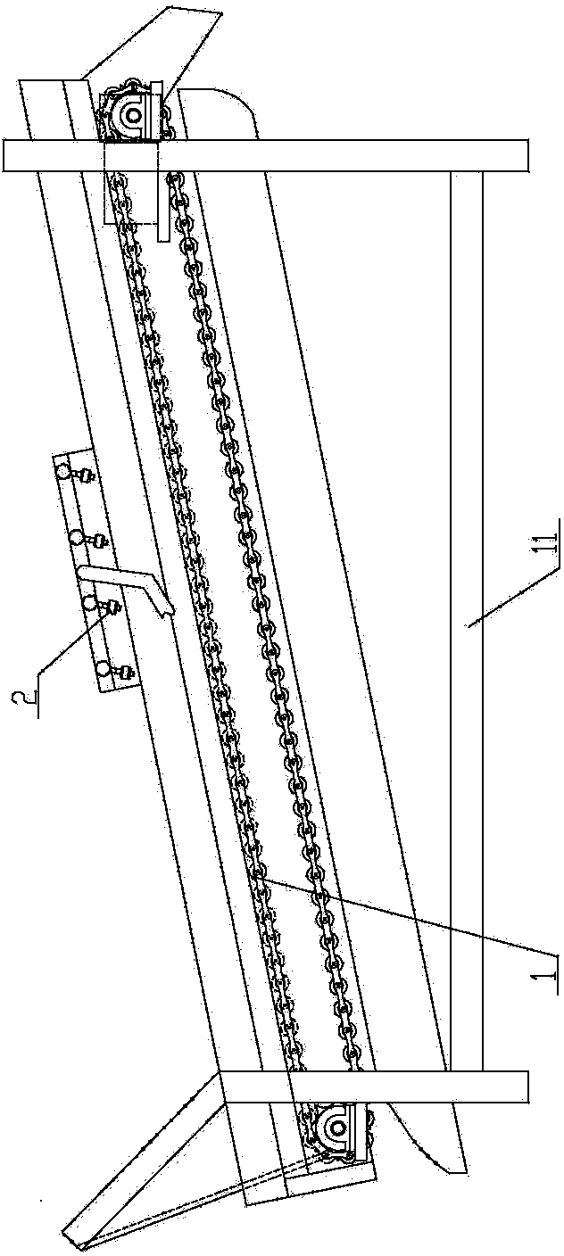 Dried fruit cleaning and drying device and method thereof