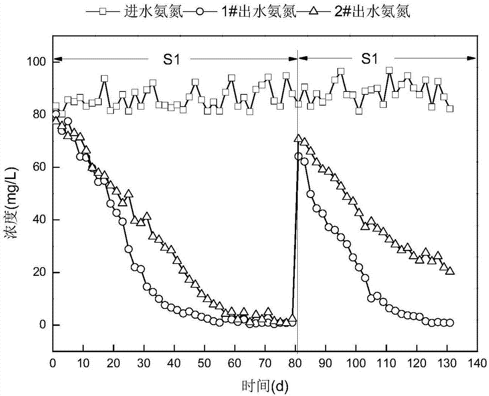 Device and method for promoting nitrosation-anaerobic ammonia oxidation granulation through UMABR reactor