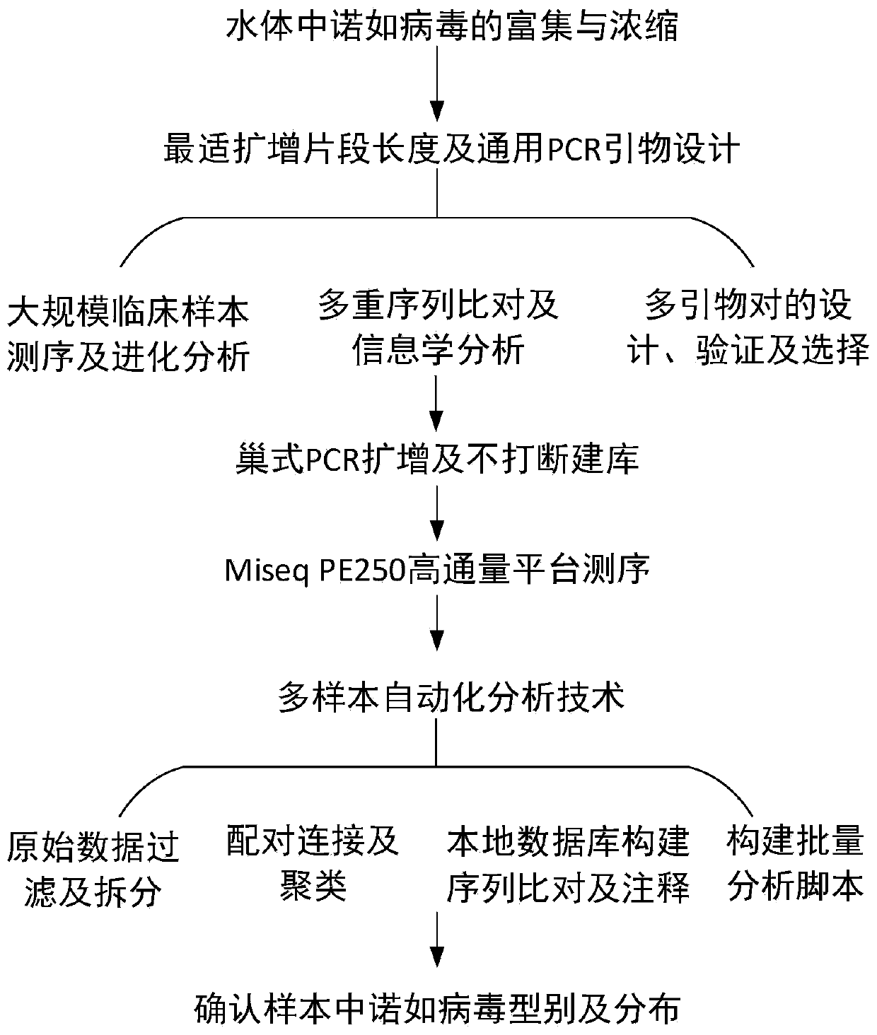 Norovirus sequencing primer based on high-throughput sequencing, kit and detection method thereof