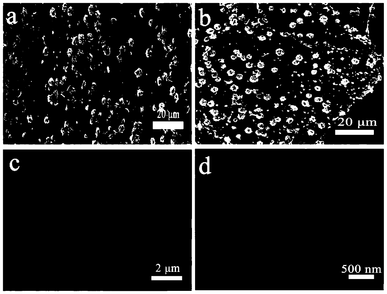 Preparation method and application of carbon nanotube foam-loaded core-shell Ni-Co LDH@Ni-Mn LDH