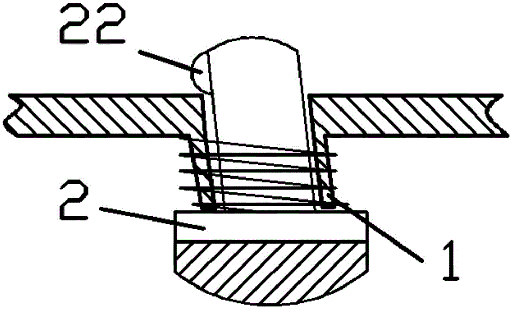 Flat Brake Double Row Skates