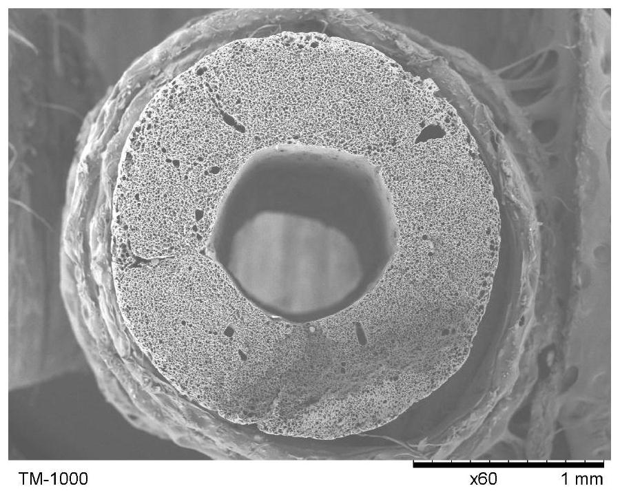 A kind of polyperfluoroethylene propylene hollow fiber membrane and preparation method thereof