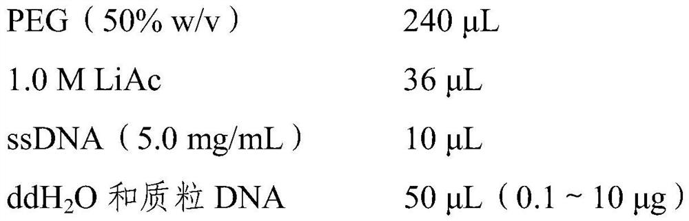 A potassium transporter kup3 from tobacco and its coding gene and application