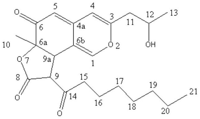 Monascus B with glycosidase inhibition activity and immunomodulatory activity and preparation method of monascus B