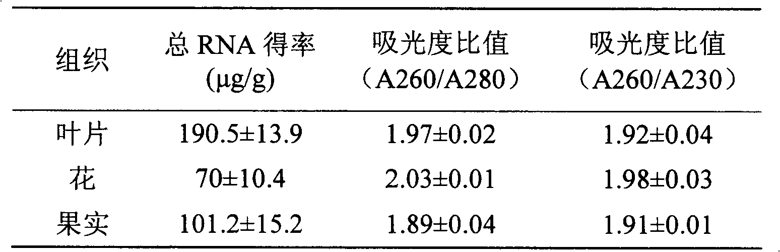 Method for quickly extracting total ribonucleic acid (RNA) from Rubus