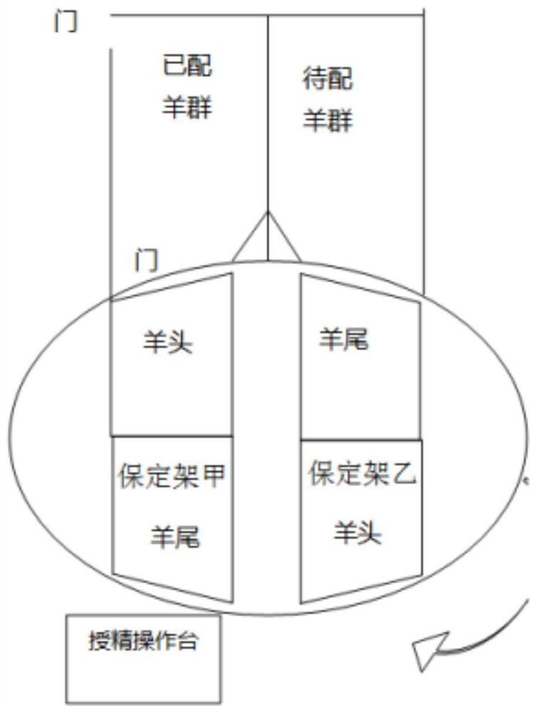 Control circuit of a rotary artificial insemination platform for sheep