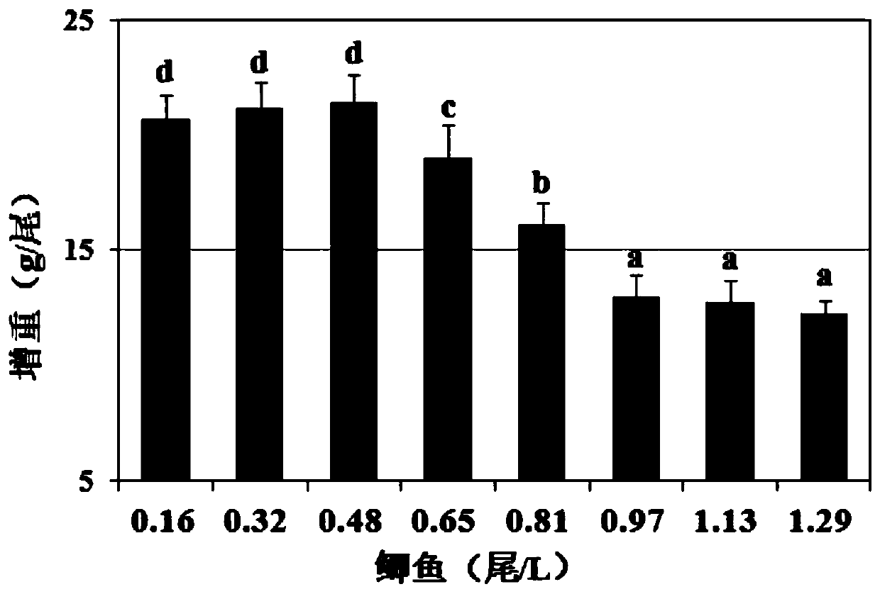Application of mulberry leaf extract in inhibiting freshwater fish farming stress, feed, and preparation method of feed