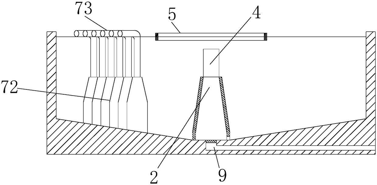 Water body decontamination system and application thereof