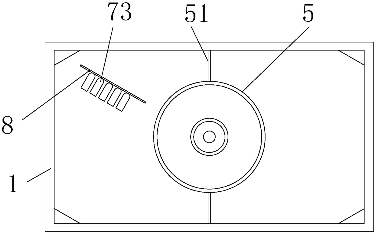 Water body decontamination system and application thereof