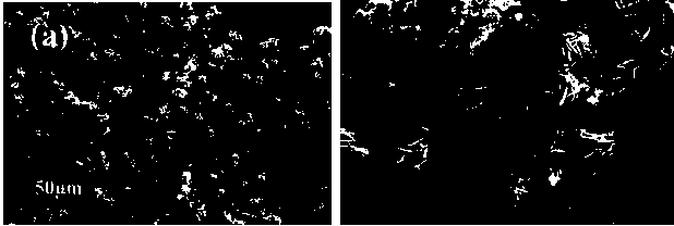 Preparation method for synthetizing three-dimensional stannous sulfide micro-flowers through complexing agent with aid of quaternary ammonium salt