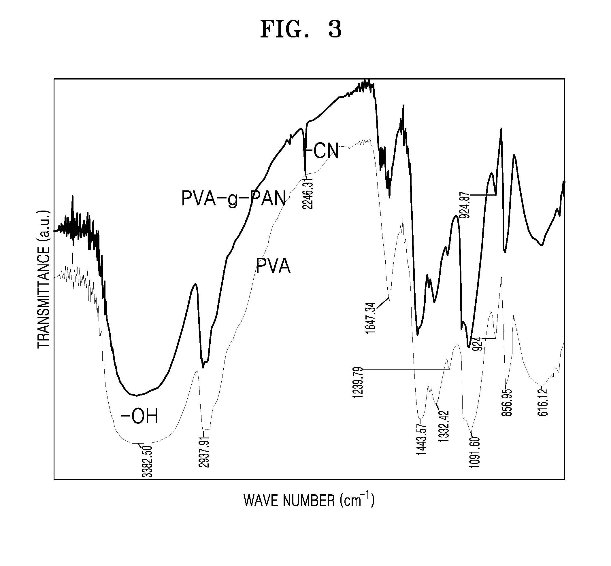 Negative electrode for lithium metal battery and lithium metal battery including the same