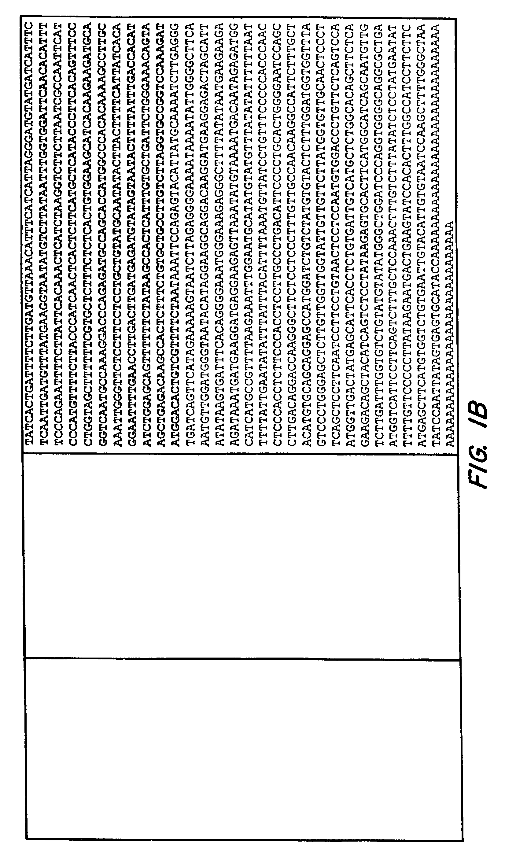 Method for identifying compounds modulating taste transduction