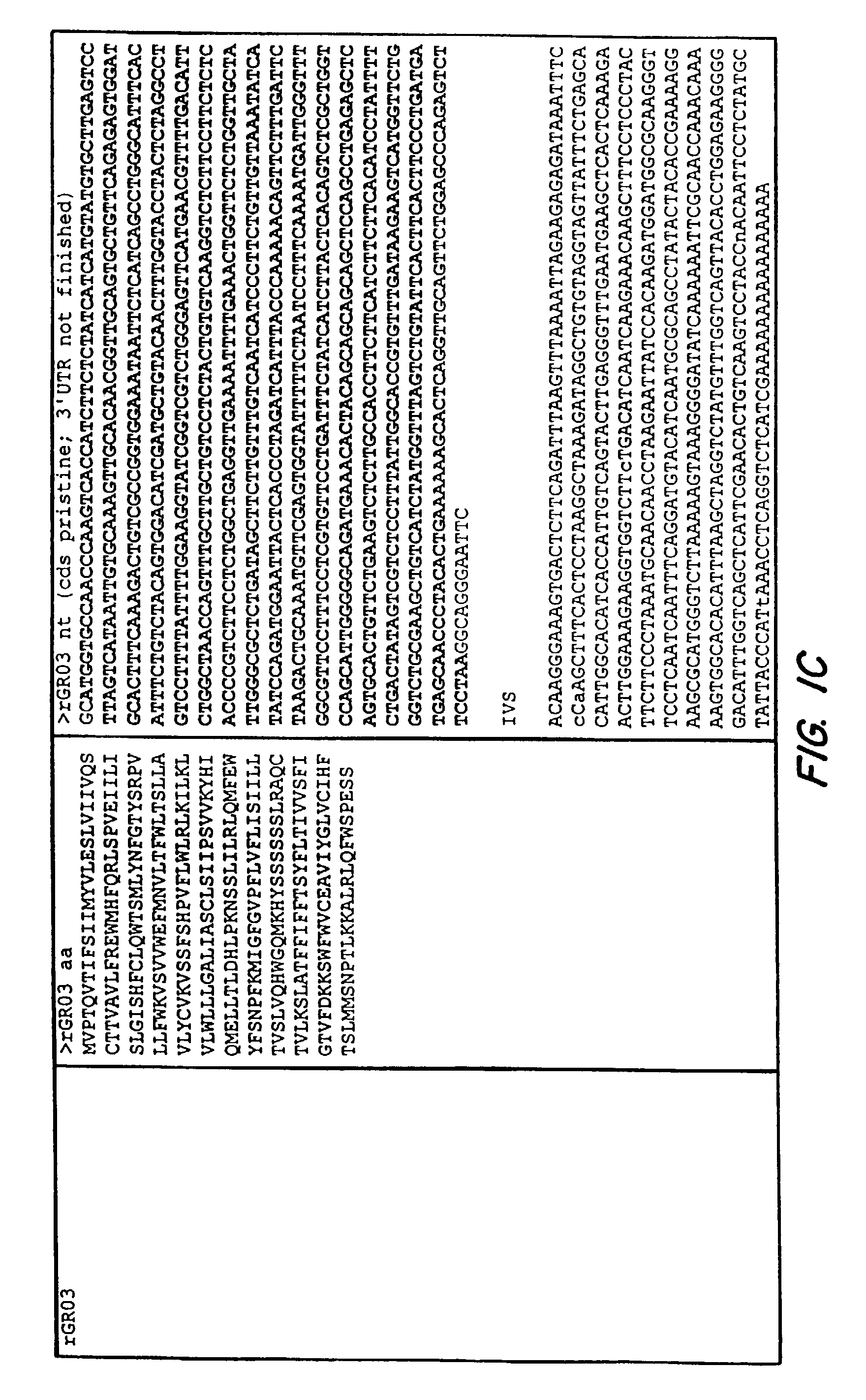 Method for identifying compounds modulating taste transduction