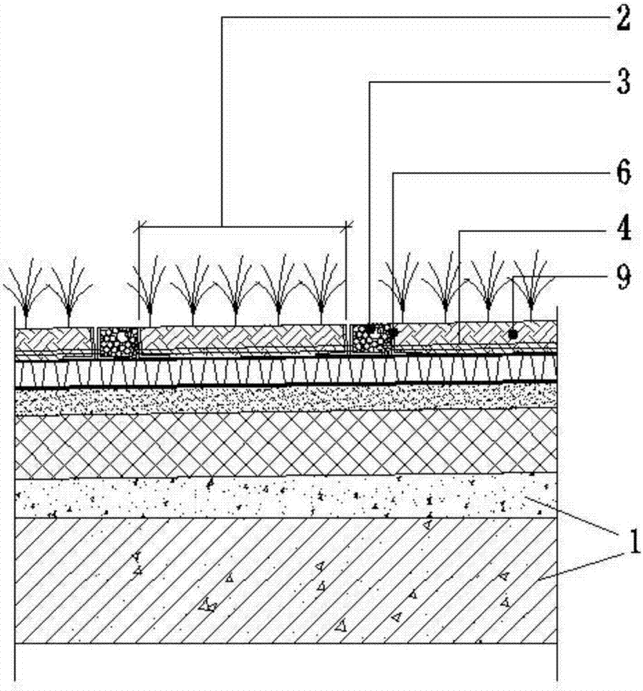A green roof system
