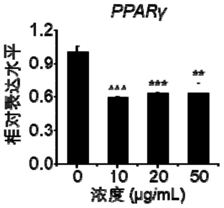 A metal-catechin composite nanomaterial and its preparation method and application