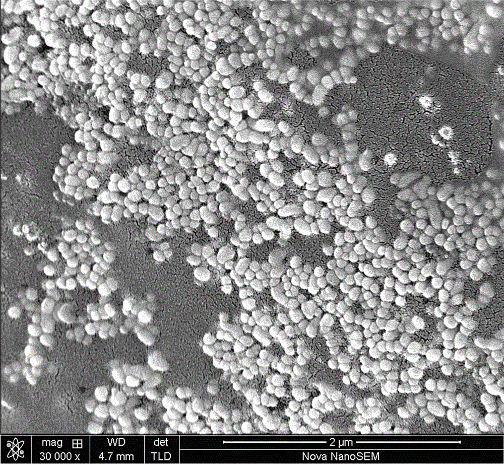 Preparation method of size-controllable nanoscale cubic-phase super-fine barium titanate powder