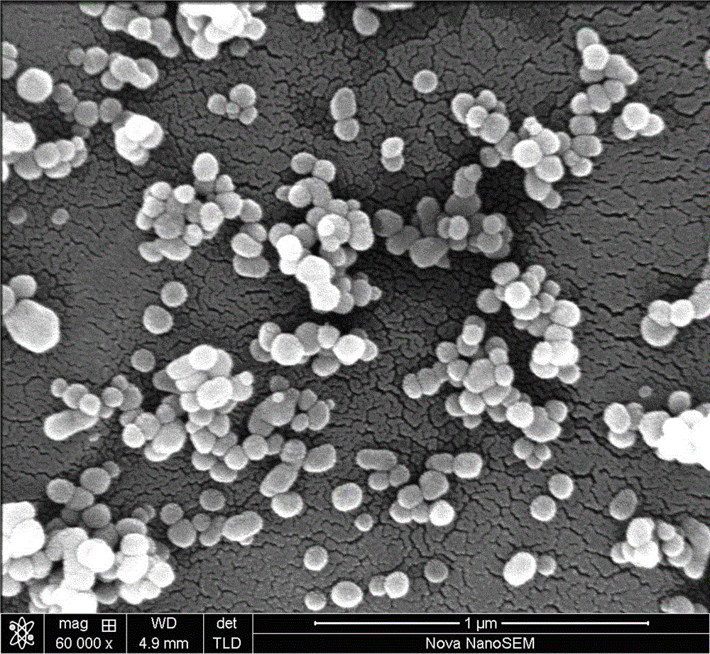 Preparation method of size-controllable nanoscale cubic-phase super-fine barium titanate powder