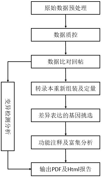 Transcriptome data automatic analysis method based on next-generation sequencing