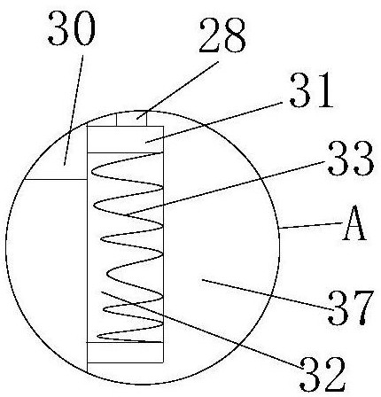 Salted fish airing device